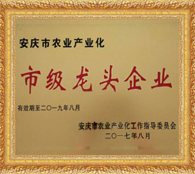 市級(jí)龍頭企業(yè)